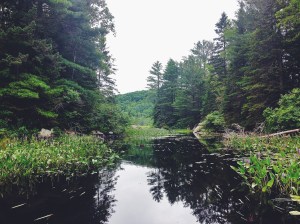 Processed with VSCOcam with f2 preset