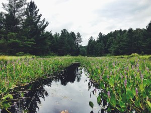 Processed with VSCOcam with f2 preset